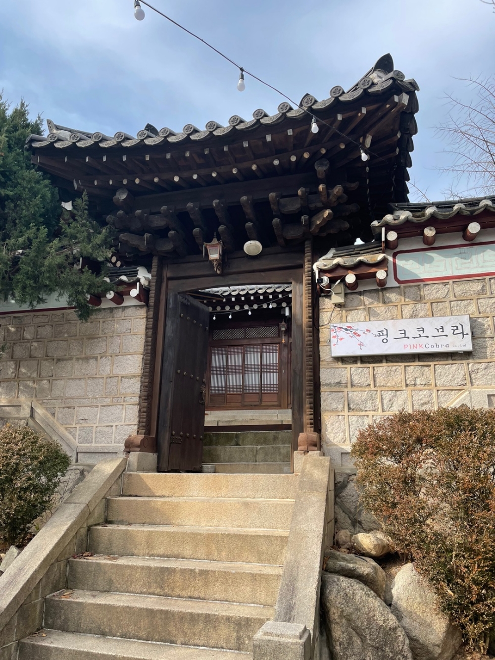 ‘핑크코브라’ 2021 올해를 빛낸 브랜드 대상 광고마케팅 부문 수상