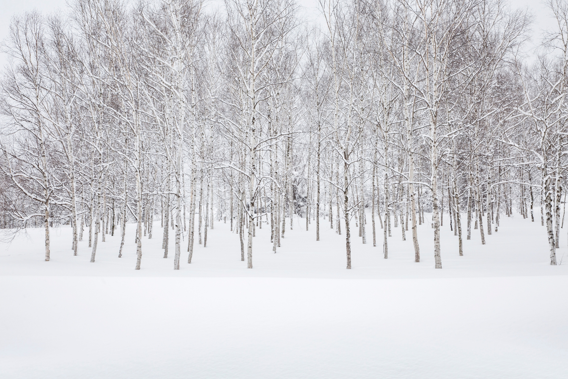 결혼정보회사 노블레스 수현, 겨울 여행지 4곳 선정