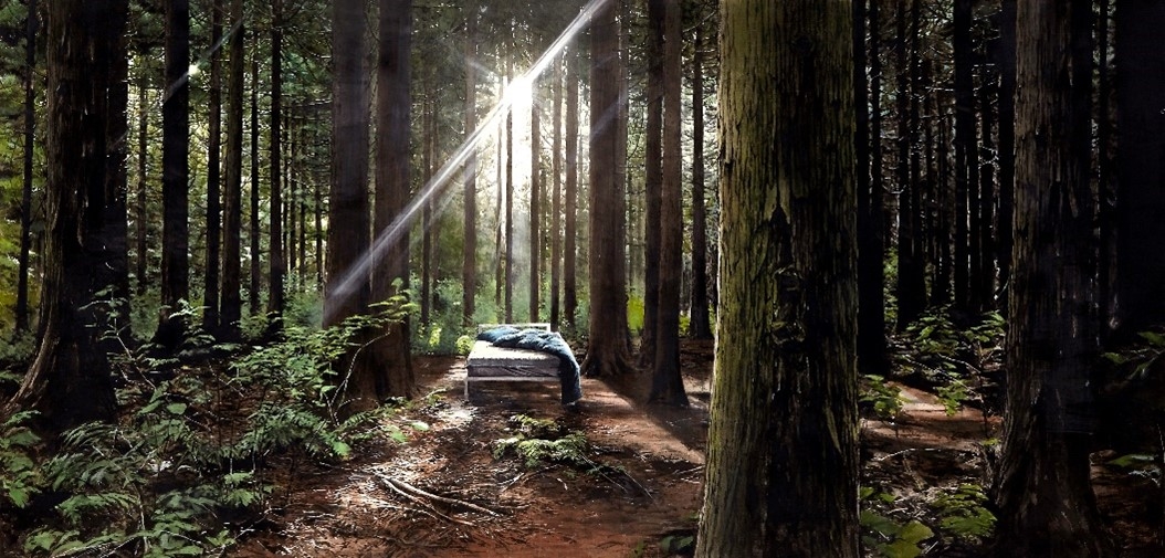 사진 = 신영훈 ‘Director's Cut’, 2019