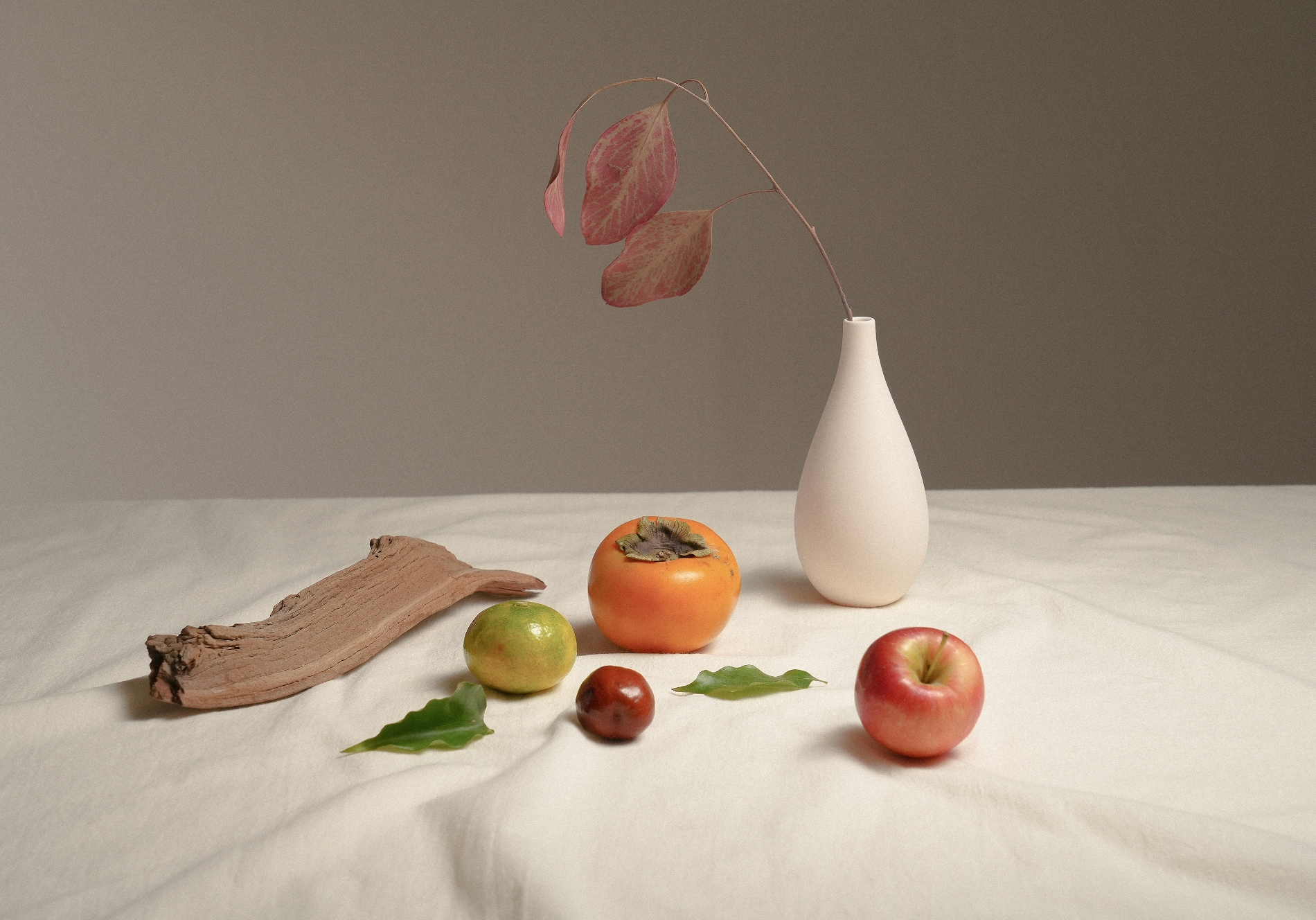 못난이 농산물 업사이클링 블렌디드 TEA 브랜드 ‘퍼스티아’,’ 2022 서울 카페쇼’ ‘체리스초이스’ 선정