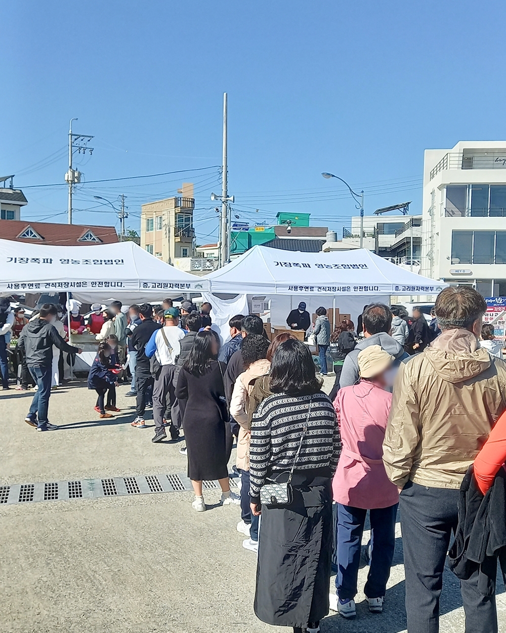 부산합동양조 생탁, ‘기장쪽파 해물파전 홍보행사’ 참가