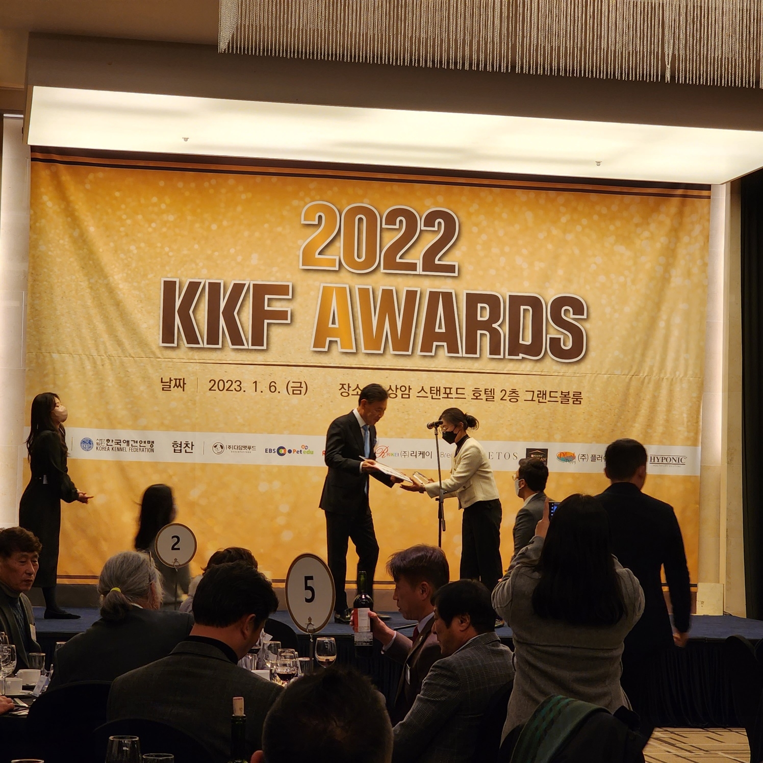 설민우홍대애견미용학원 이지현 강사, ‘2022 KKF 어워즈’ 올해의 미용사 수상 영예
