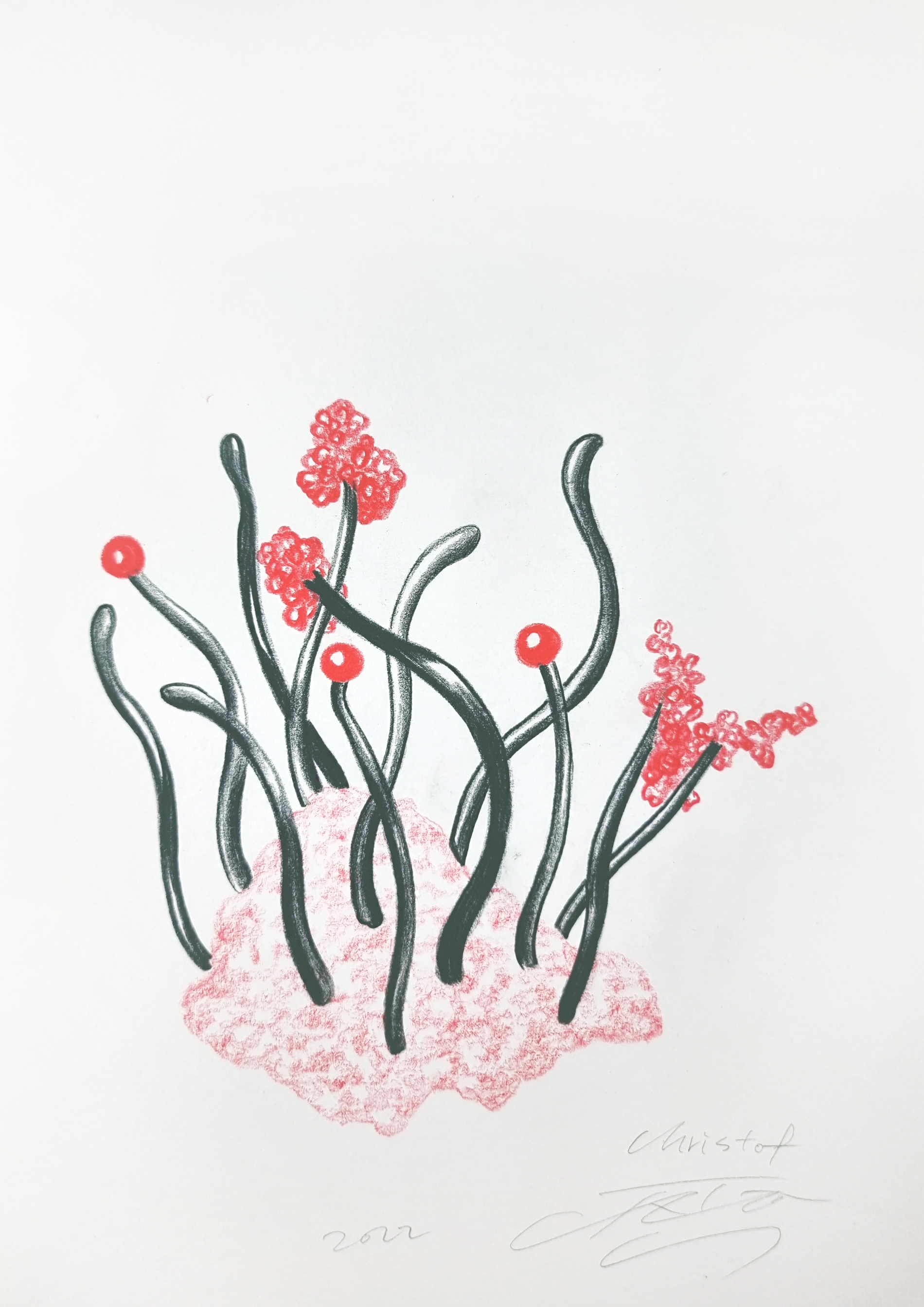 JUHEON CHO, 'Christof Düro', 2022, 21cm x 29.7cm, coloured pencil on paper / 사진=Courtesy of artist, 갤러리JH