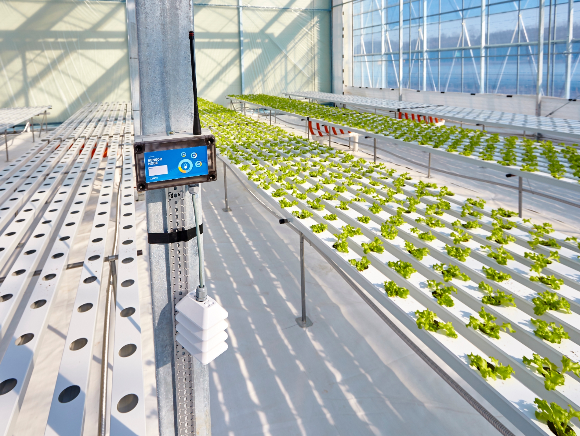 노루홀딩스 계열사 기반테크, 스마트팜 시스템으로 농업 생산 효율성 ↑