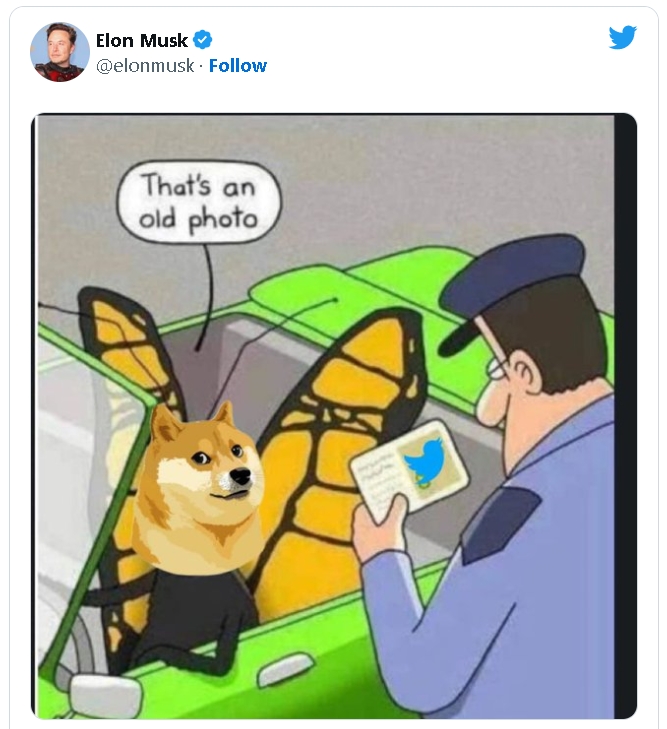 (상보) 머스크, 트위터 로고 시바이누견으로 교체...도지코인 30% 넘게 폭등