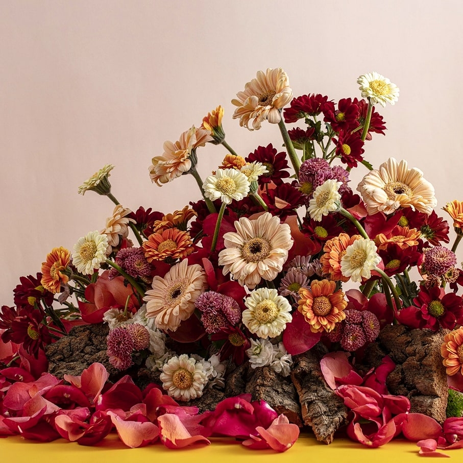 사진=제프리 킴 제공