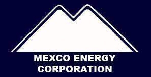 멕스코 에너지, 2분기 매출액 175만 달러…전년比 29%↓