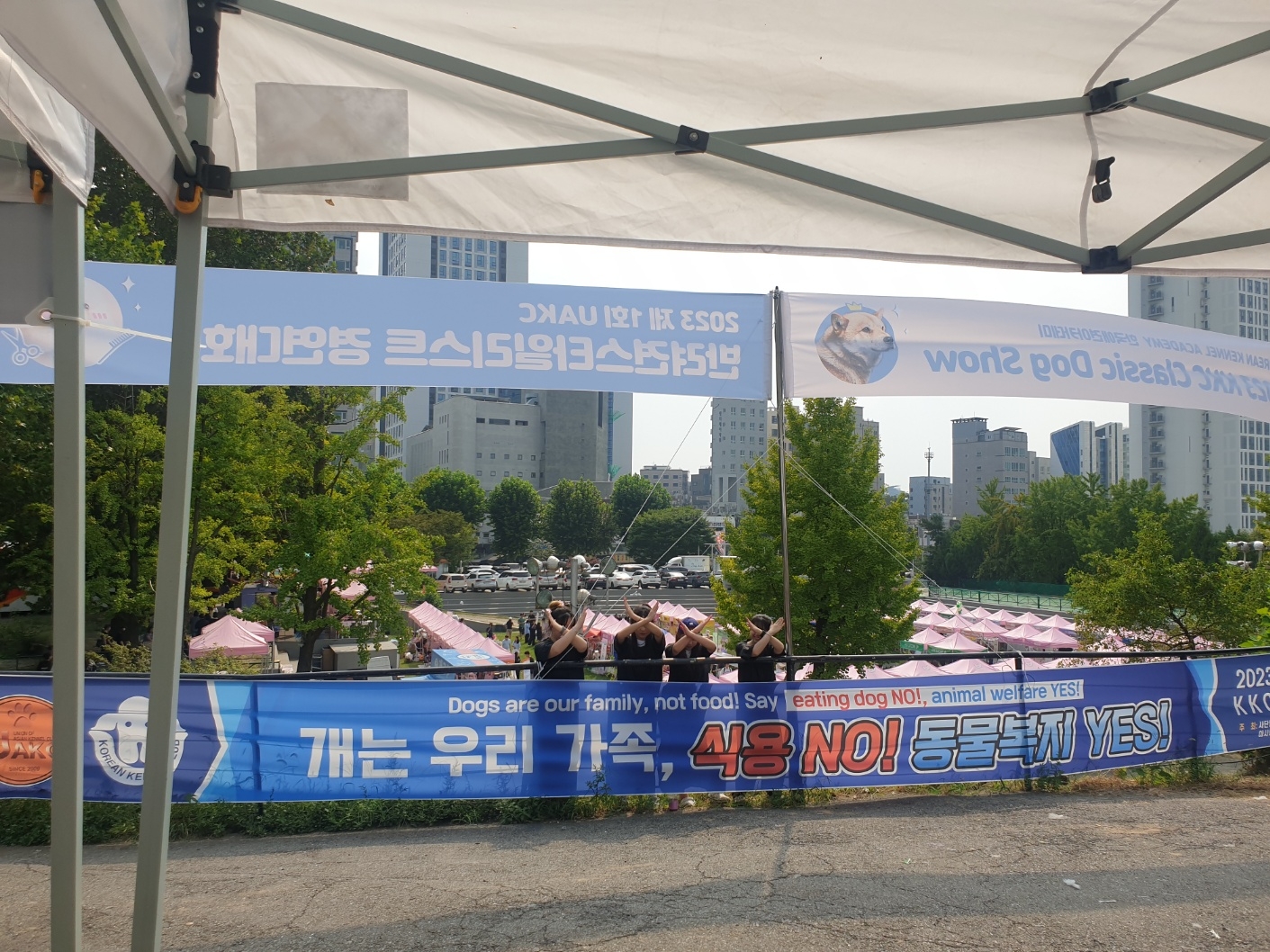 한국애견협회 개의 식용반대 성명서 및 캠페인 진행