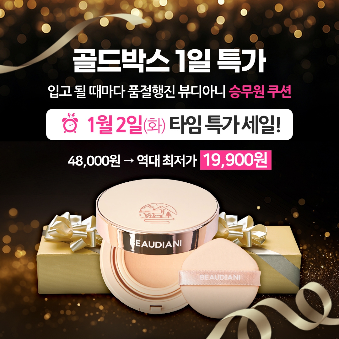 뷰디아니, ‘메쉬 타이트 업 쿠션’ 1월 2일 쿠팡 골드박스 특가 프로모션 진행