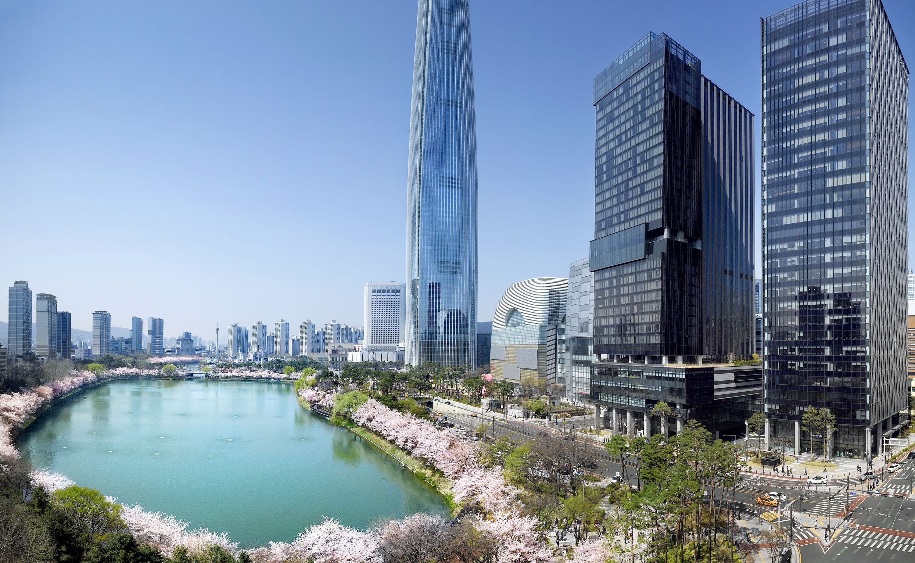 소피텔 서울, 봄맞이 패키지와 한정 메뉴 출시…벚꽃 성지에서 만끽하는 진정한 ‘봄캉스’