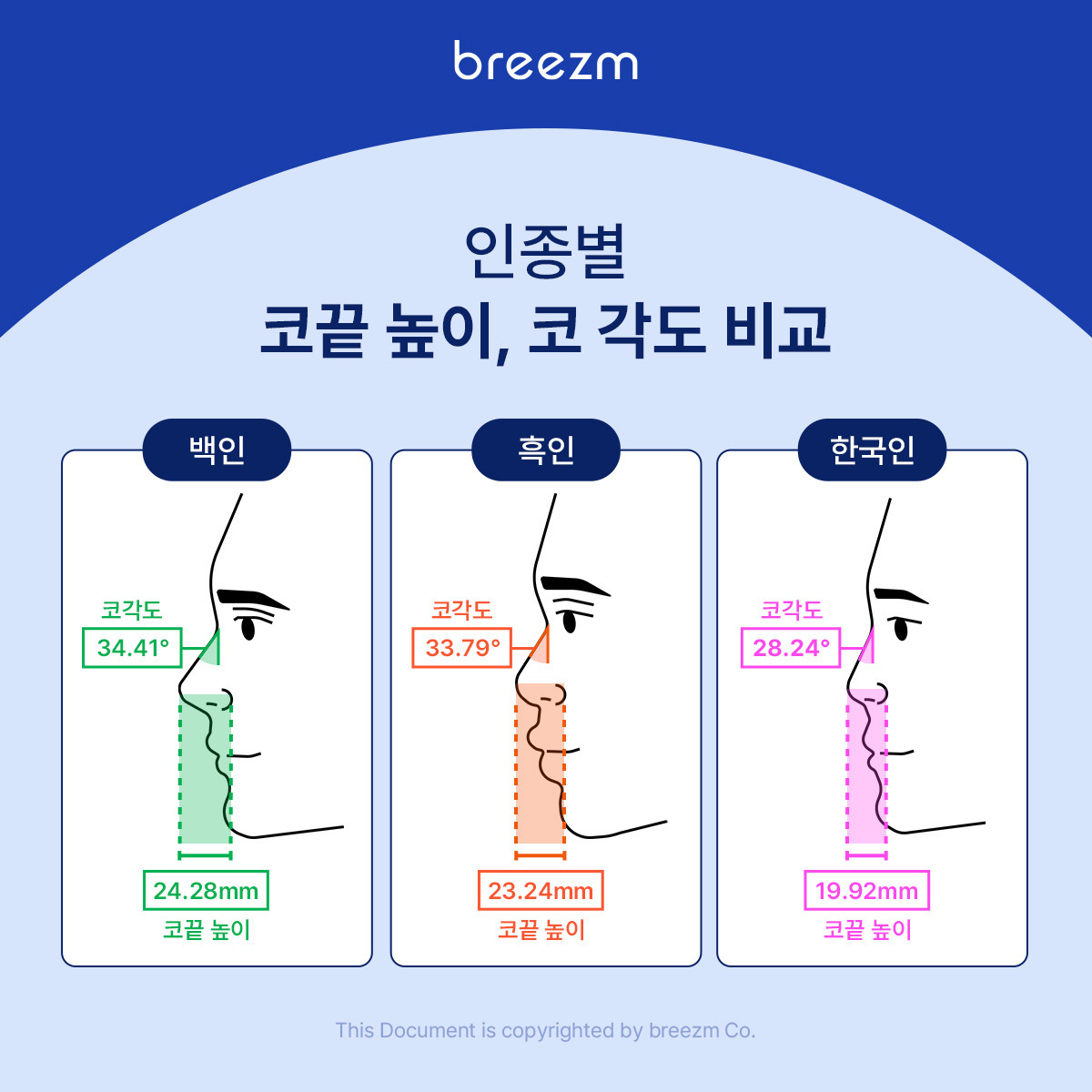 브리즘, 해외 브랜드 선글라스 불편한 이유 인종별 얼굴 데이터 분석으로 입증