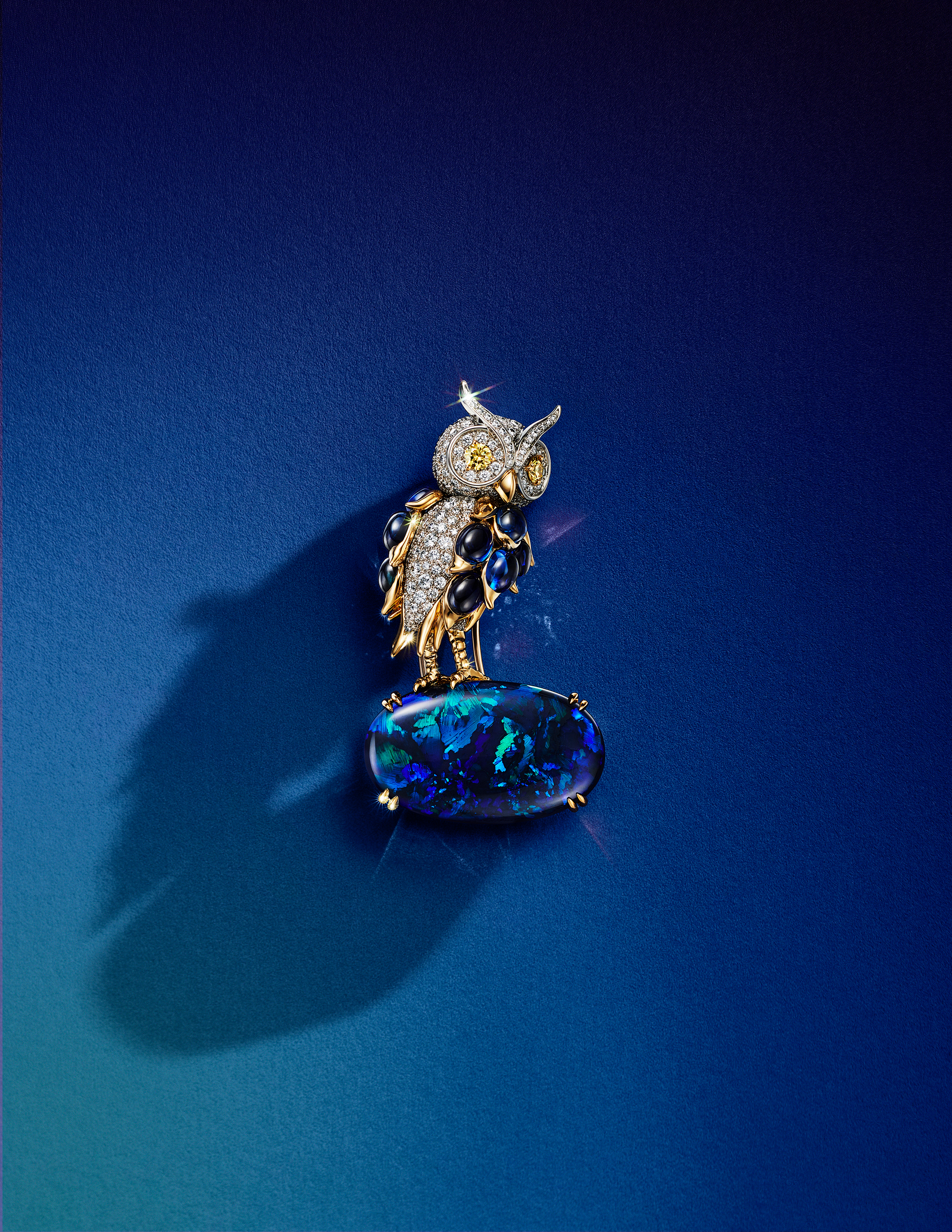 아울 온 어 락(Owl on a Rock)