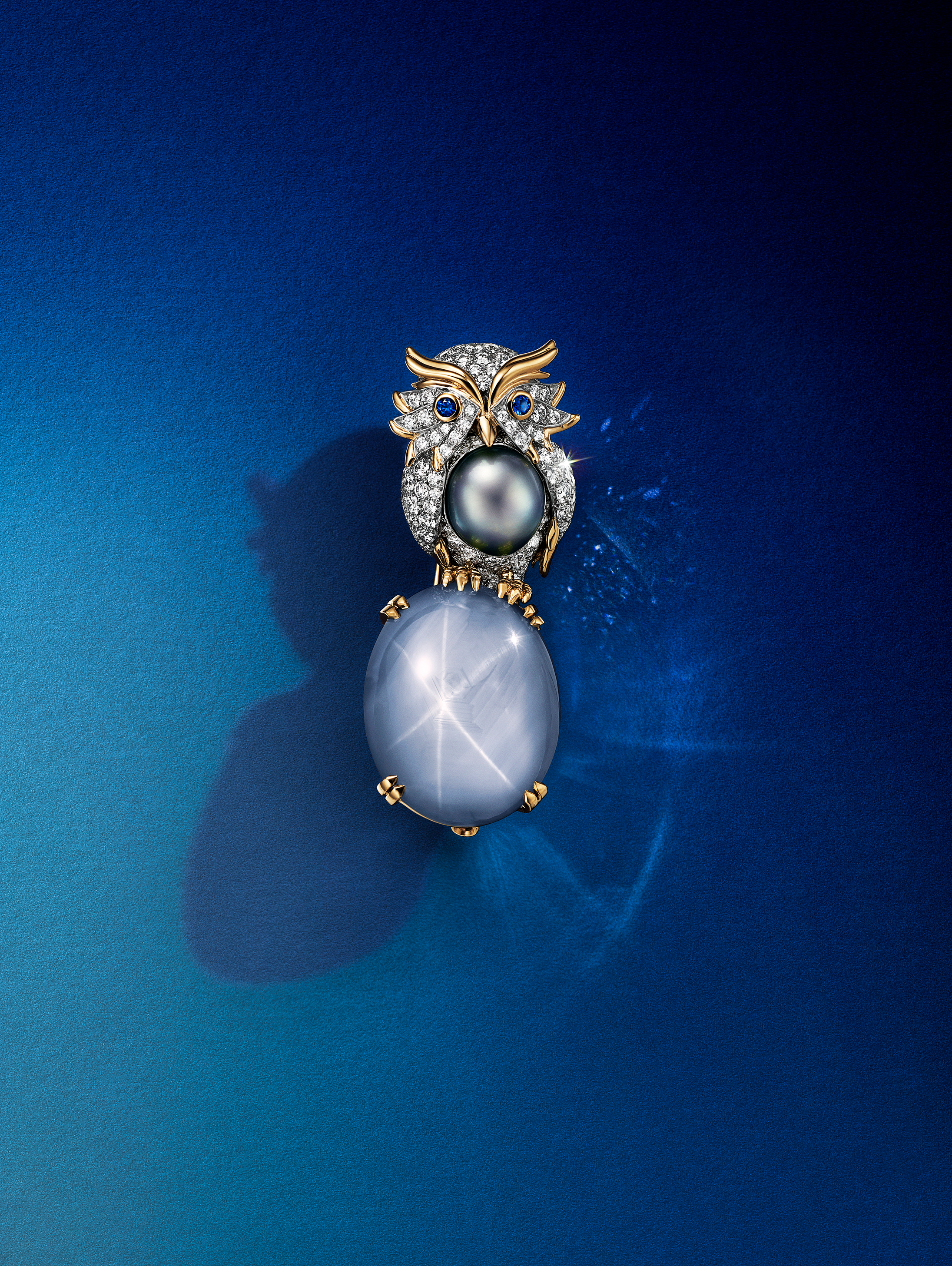 아울 온 어 락(Owl on a Rock)