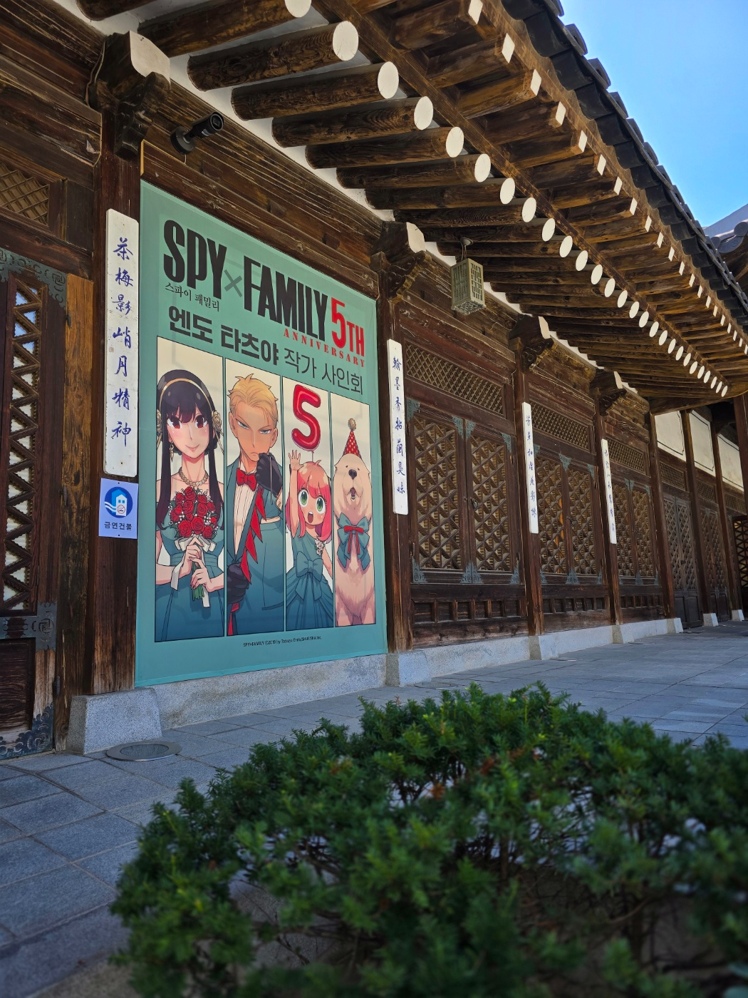 ‘스파이 패밀리’엔도 타츠야 작가, ‘스파패’연재 5주년 맞이 한국 사인회 성료…한국팬 사랑에 감동