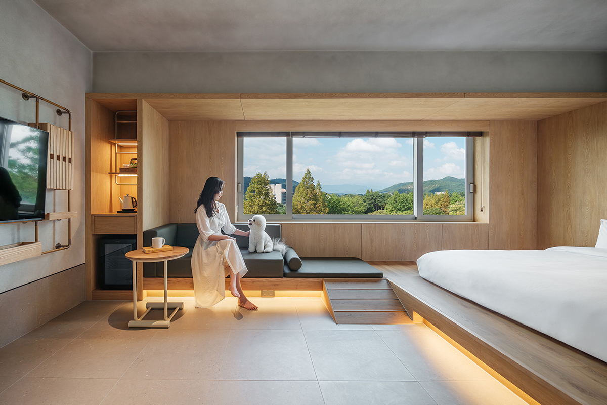 ▲신개념 펫 프렌들리 호텔 키녹 객실(디럭스A) 이미지