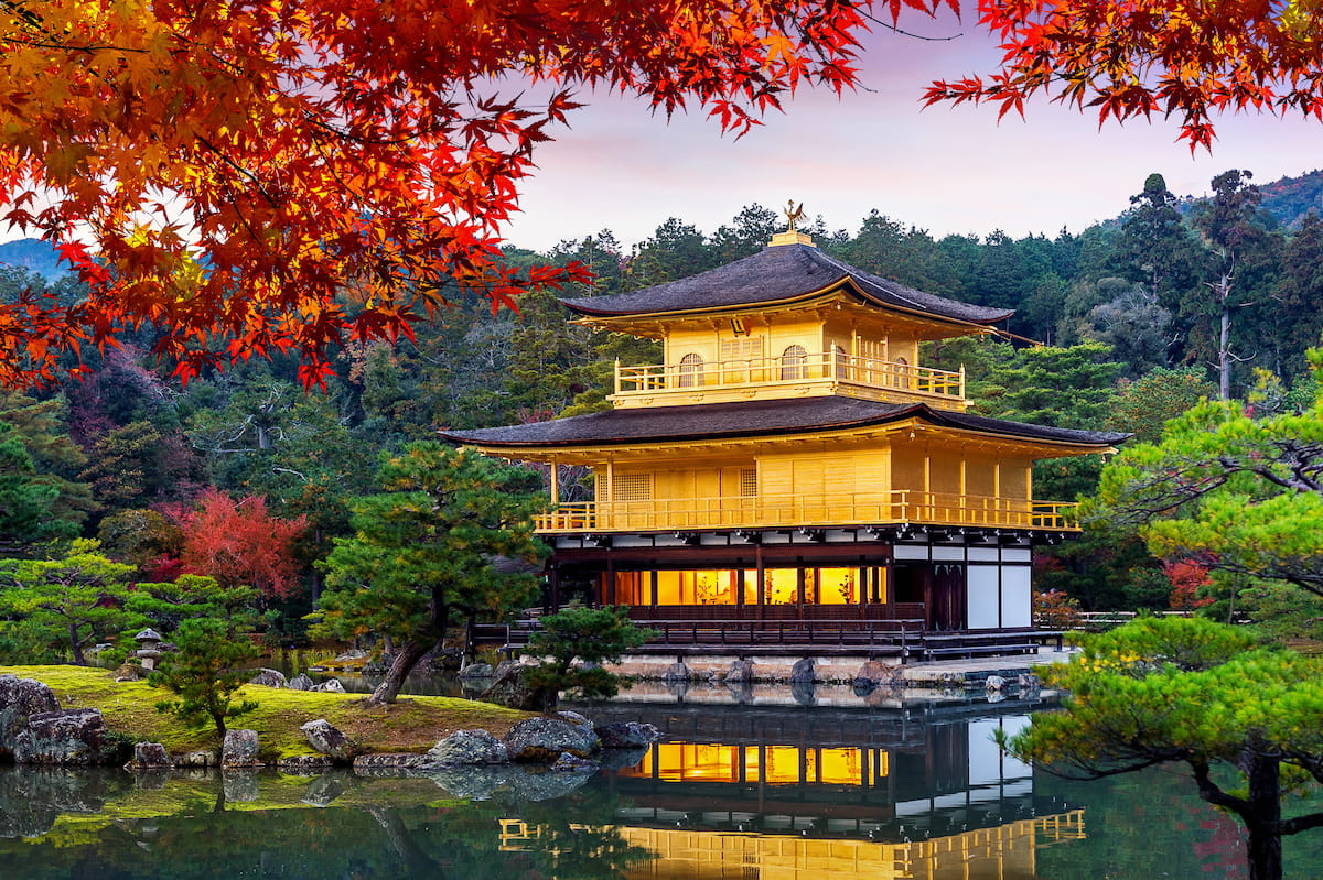 요모, 일본 오사카 핵심일주 맞춤형 프라이빗 투어 출시 - 개인화 여행 트렌드 특화