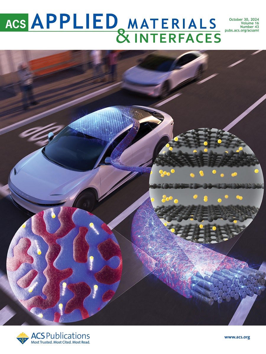 표지 논문 이미지