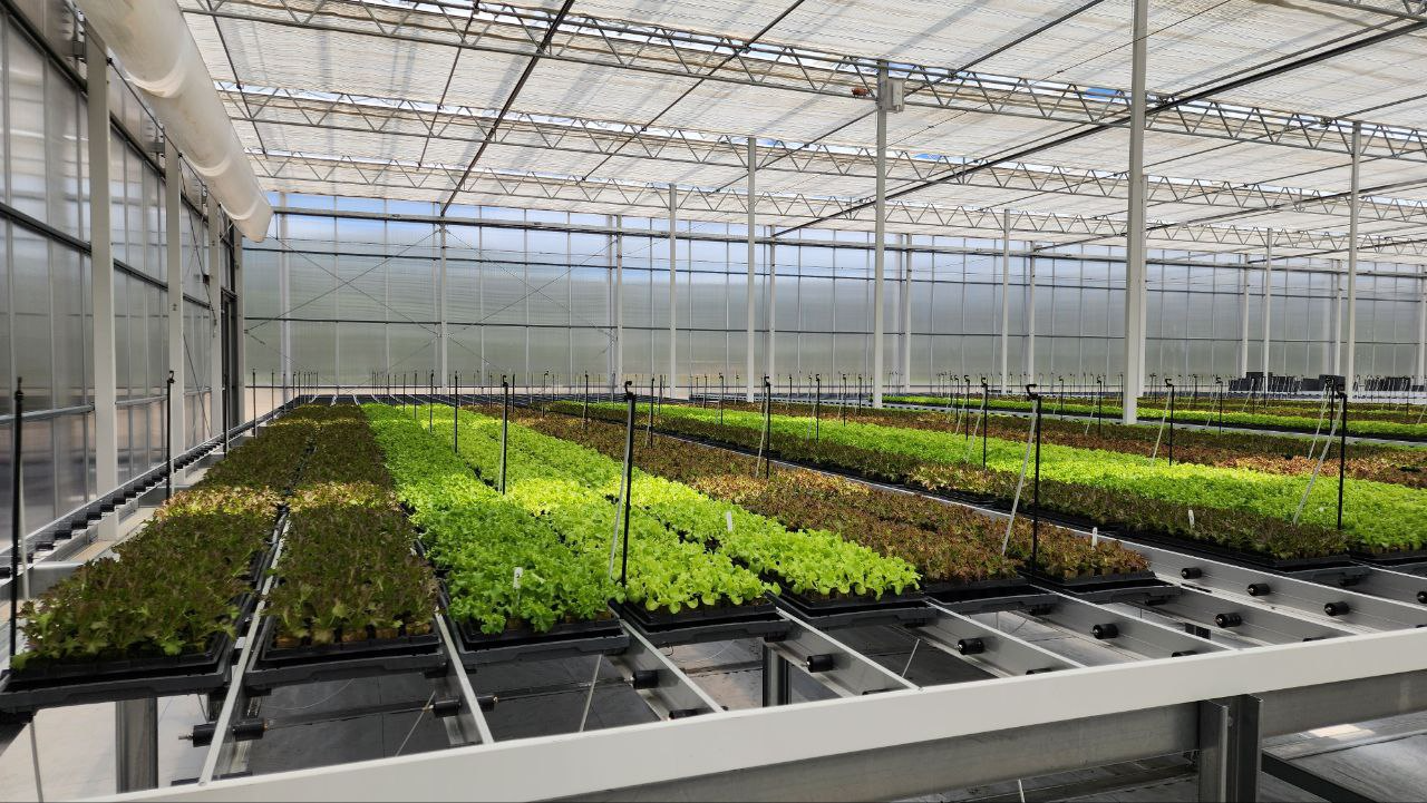 준공 완료된 호주 스마트팜 내부 모습