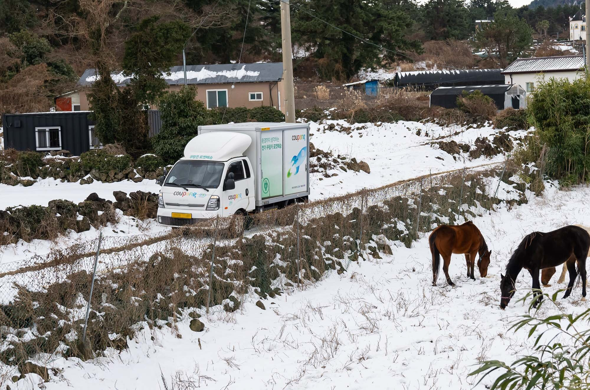 쿠팡, 제주도에 신선식품 새벽배송 시작…"제주 지역 생활 여건 획기적으로 개선"