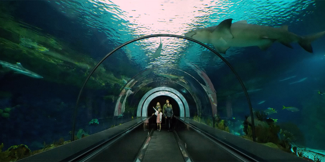 2025년 캘리포니아에서 놓치지 말아야 할 명소와 이벤트 모음집