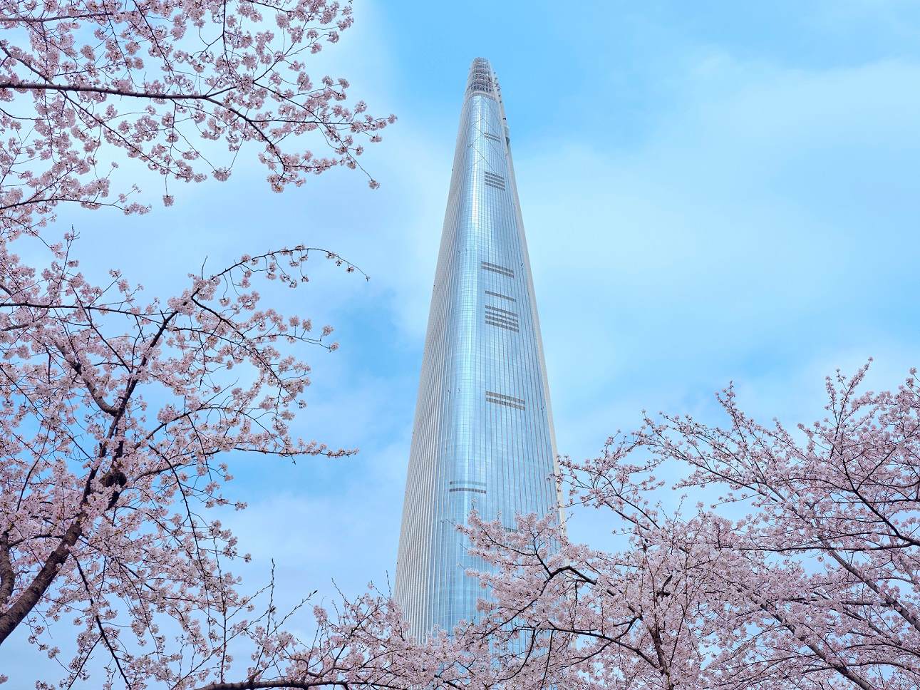 시그니엘 서울, ‘롯데월드타워 스카이런X시그니엘’ 패키지 선봬…봄날 특별한 이벤트