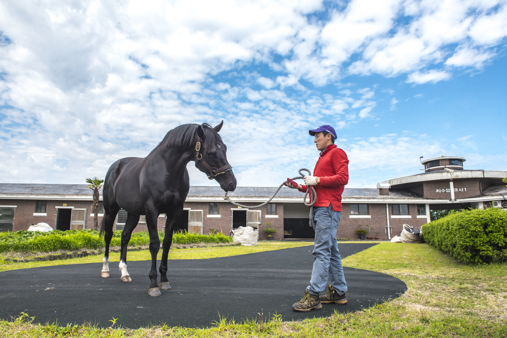 한국마사회 제주목장 새단장 완료! 말과 초지를 함께 만나는 힐링 공간