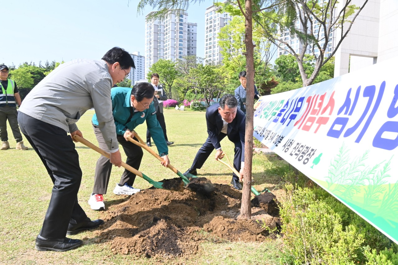 하남시청 잔디광장 편백나무 기념식수