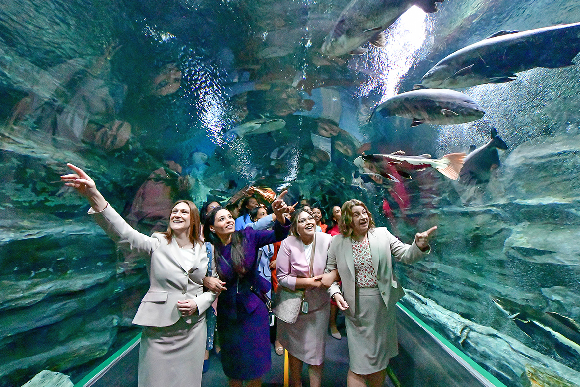 서울나들이에 나선 82차 하나님의 교회 해외성도방문단이 서울 송파구에 위치한 롯데월드타워 아쿠아리움에서 해양동물들을 만나며 행복한 추억을 만들었다.