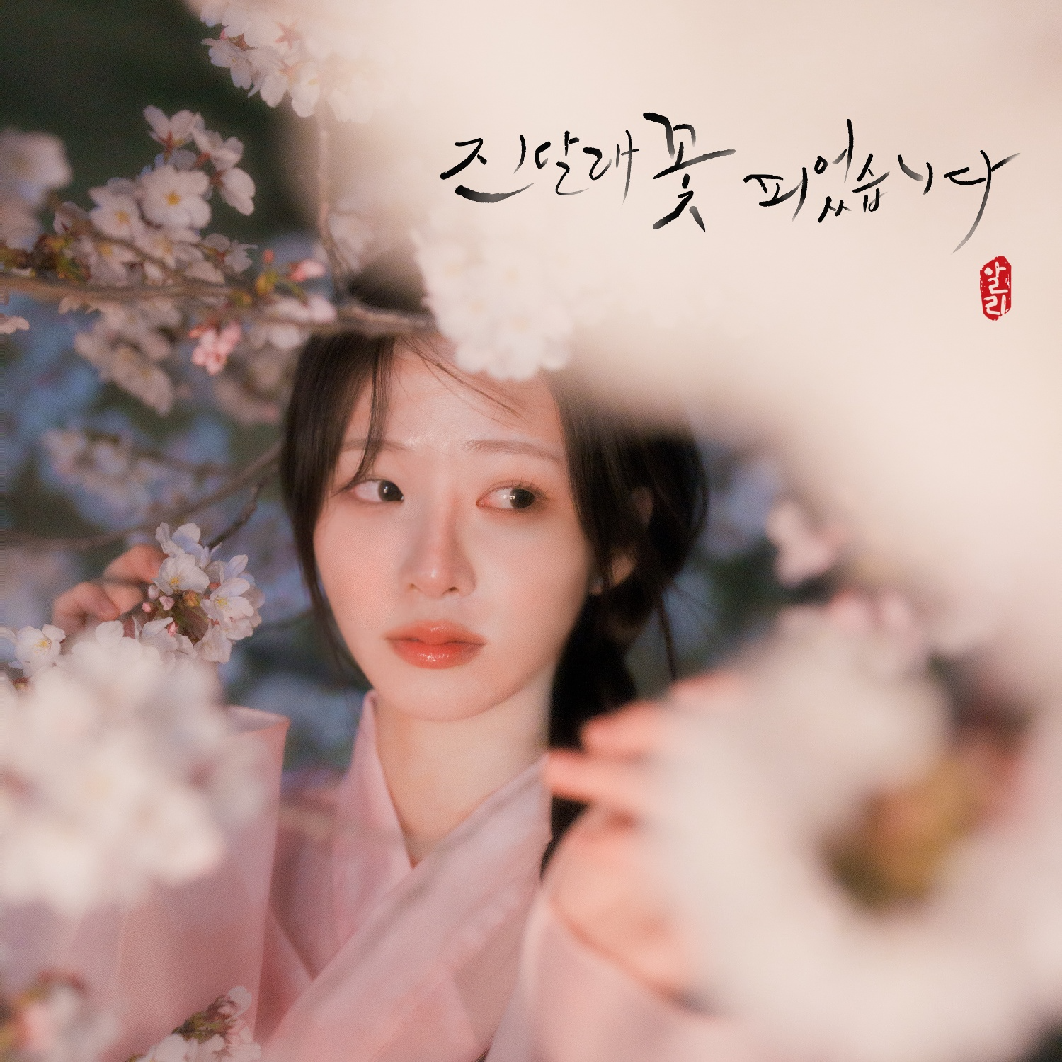 알리, 3년 만의 신보…19일 '진달래 꽃 피었습니다' 발표