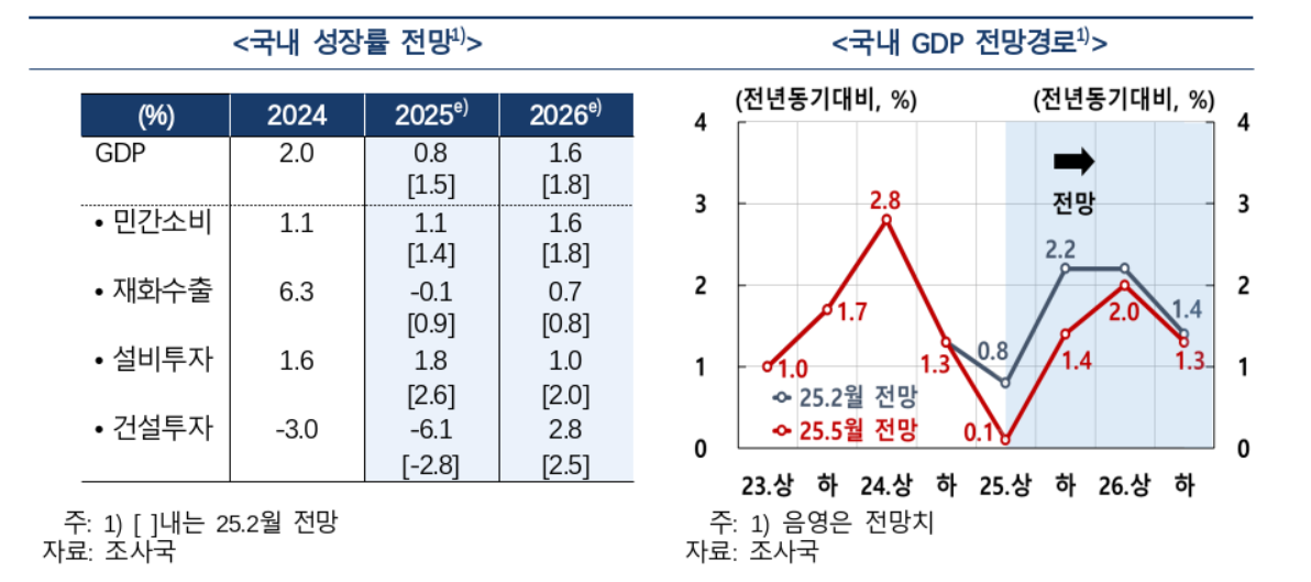 자료: 5월 29일 한국은행이 발표했던 경제전망