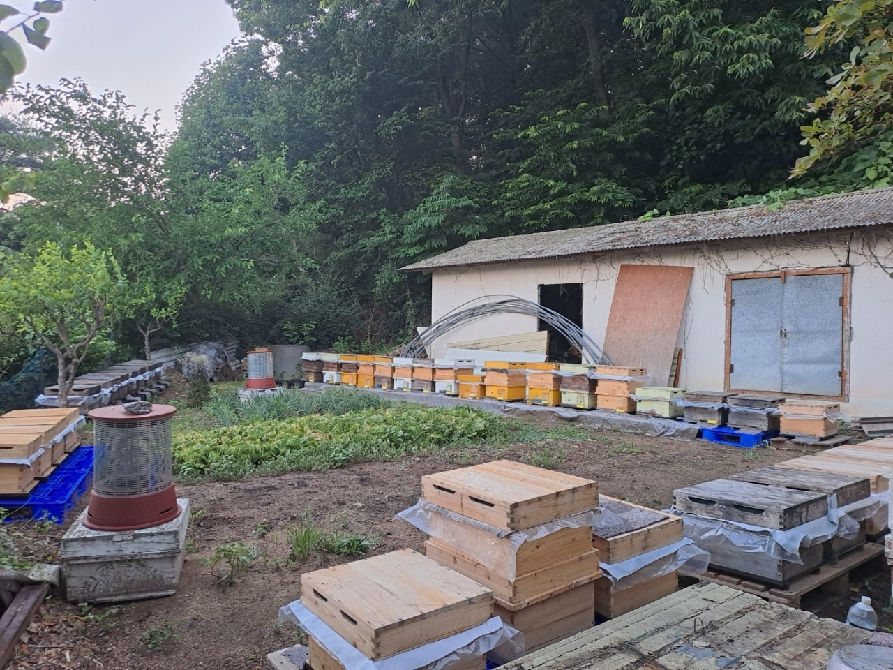 용인특례시 양봉 농가