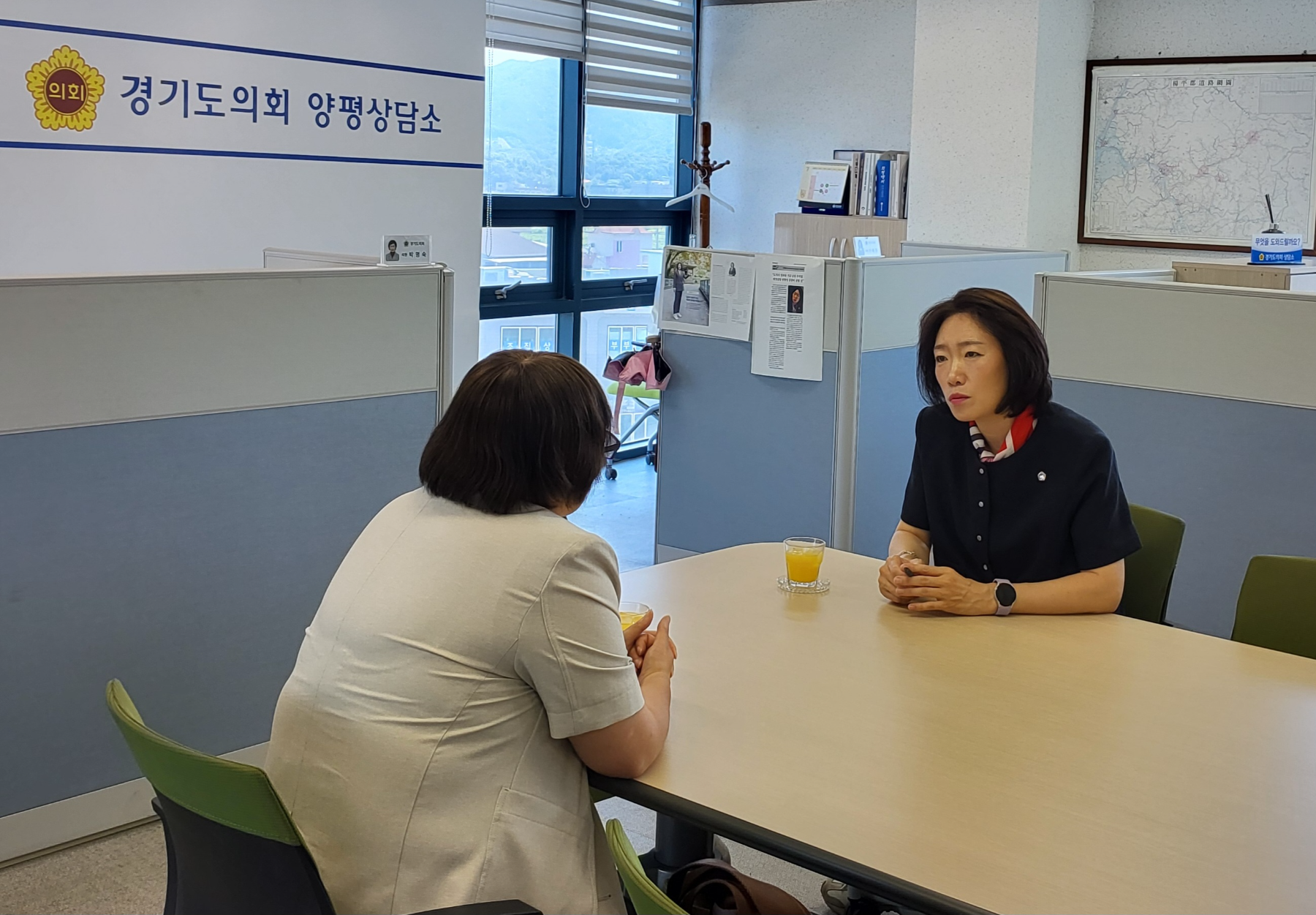 이혜원 경기도의원