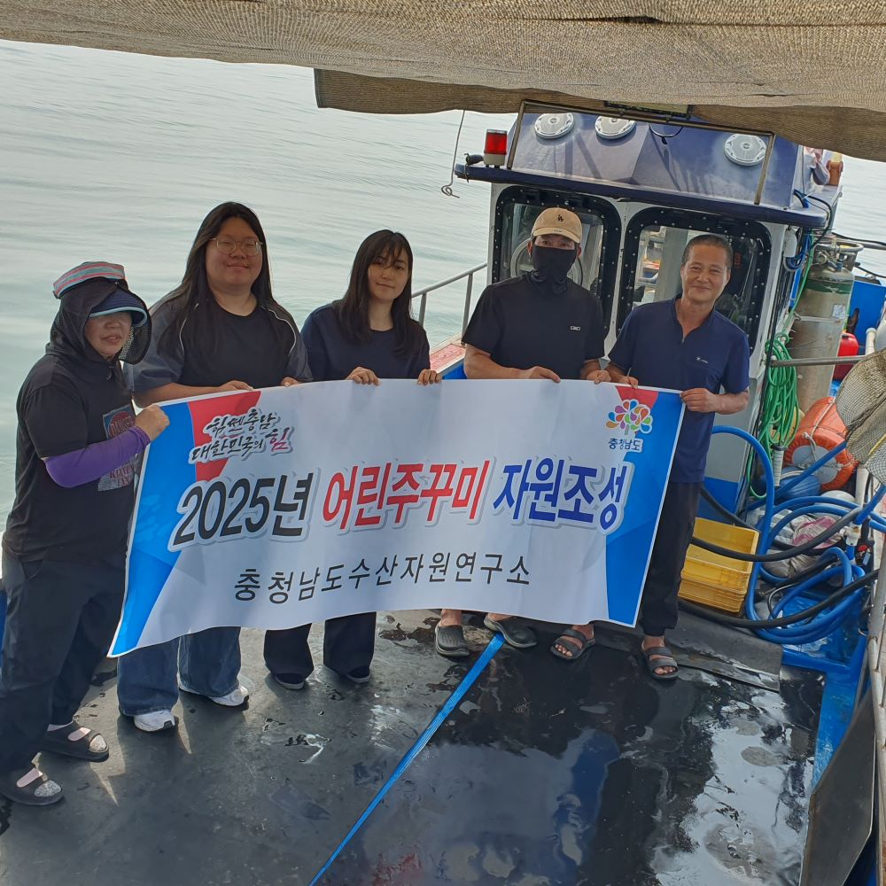 충남도는 수산자원 회복과 어업인 소득 증대를 위해  주꾸미 40만여 마리를 방류했다.(충남도청 제공)