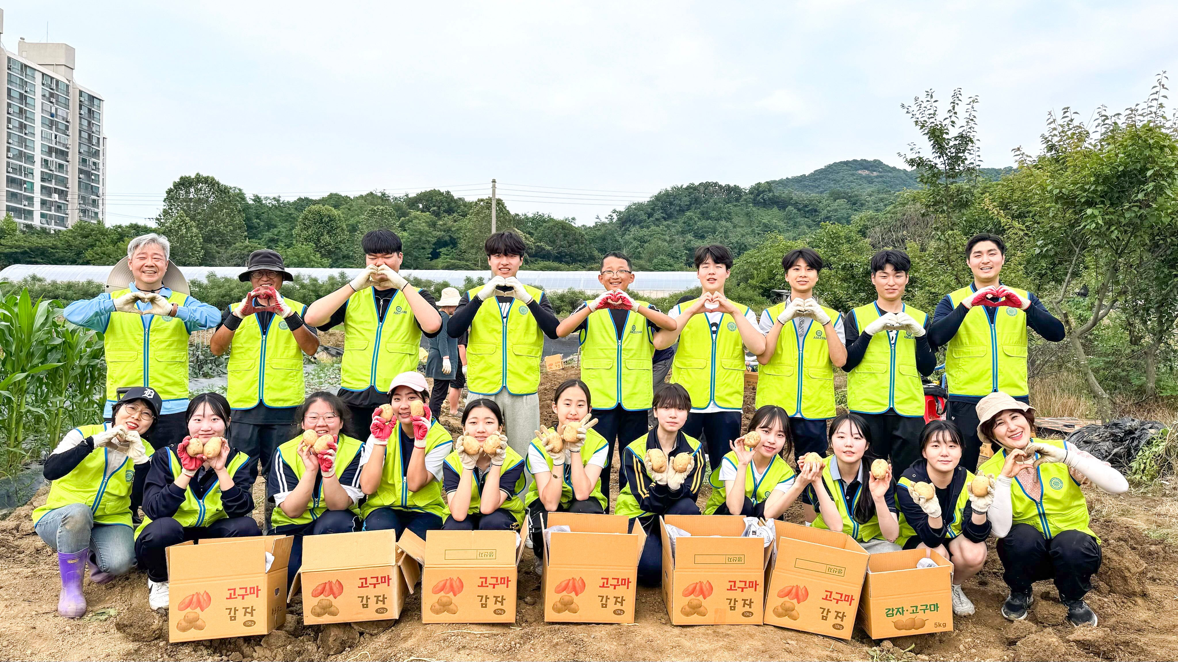 지난 6월, 하나님의 교회 학생봉사단 ASEZ STAR 회원 약 30명이 인천 서구 소재 감자 농가에서 수확을 도우며 일손을 보탰다.