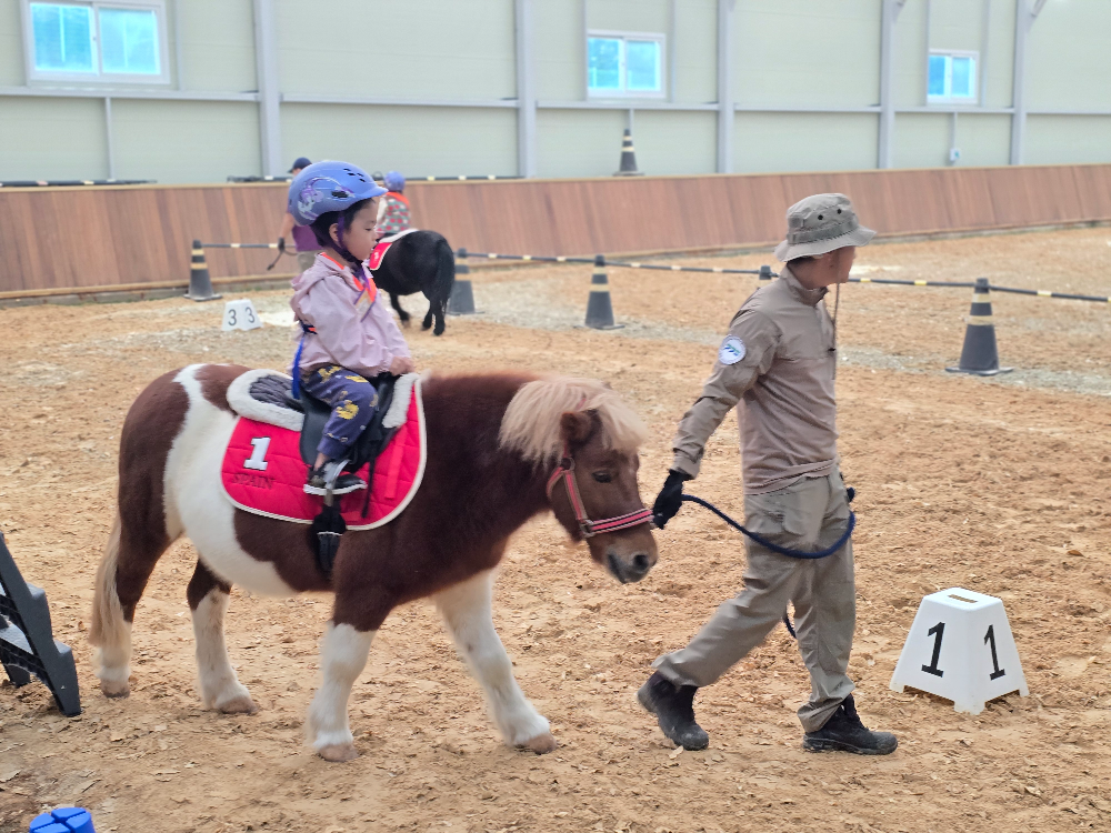 경기도, 어린이 말체험 무료 운영...9월부터 2달간