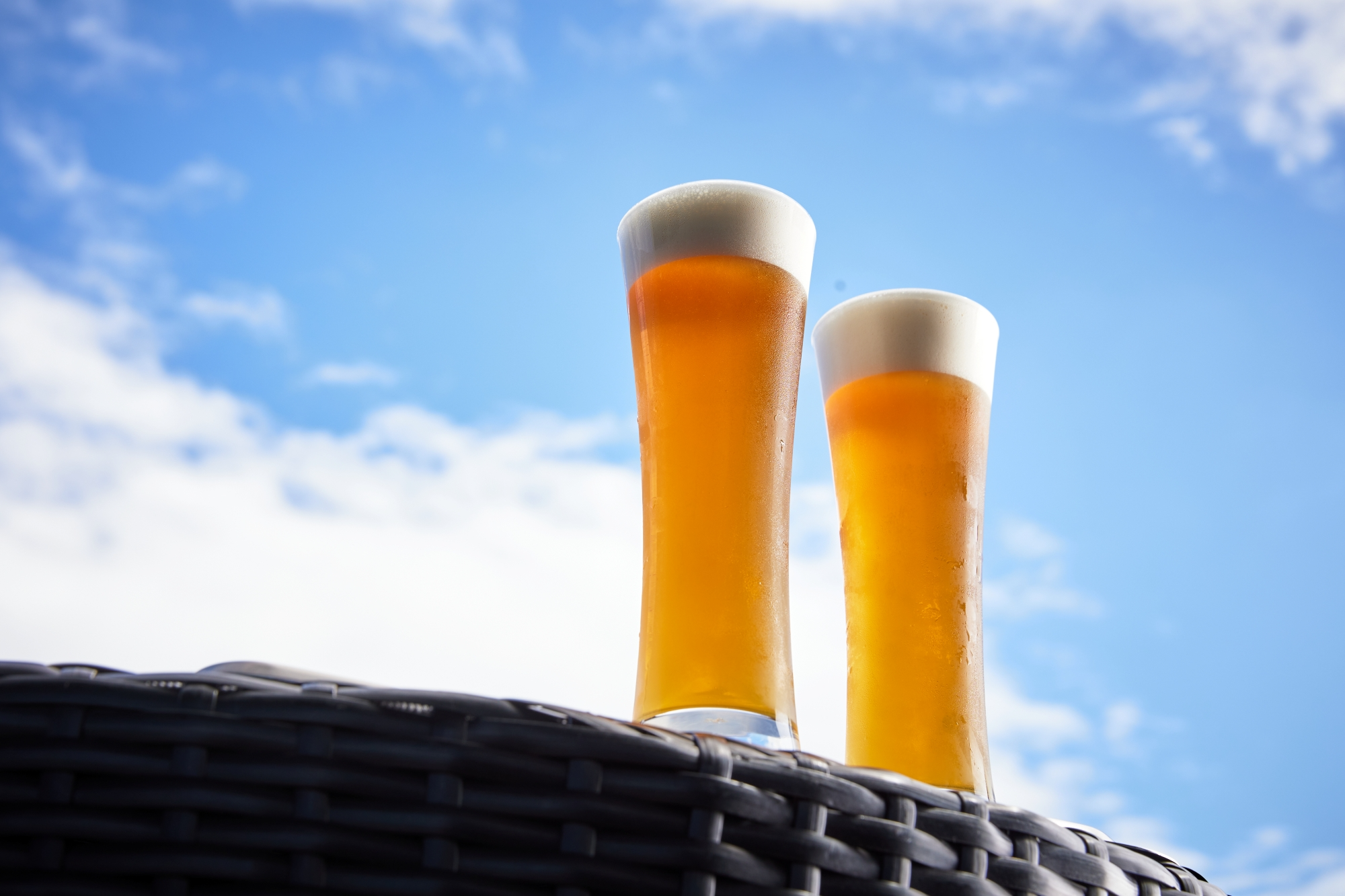 파르나스 호텔 제주, ‘2025 제주식품대전 with 맥주축제’ 참가