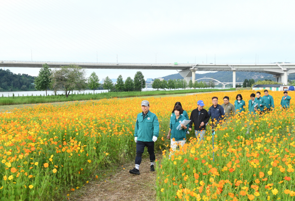 구리시 백경현 시장, "시민 안전 최우선"… 구리 코스모스 축제 안전점검 실시