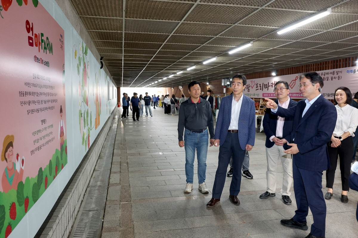 지하보도에 딸기밭이 활짝 고양시, 마두스마트팜 딸기 수확 기념행사