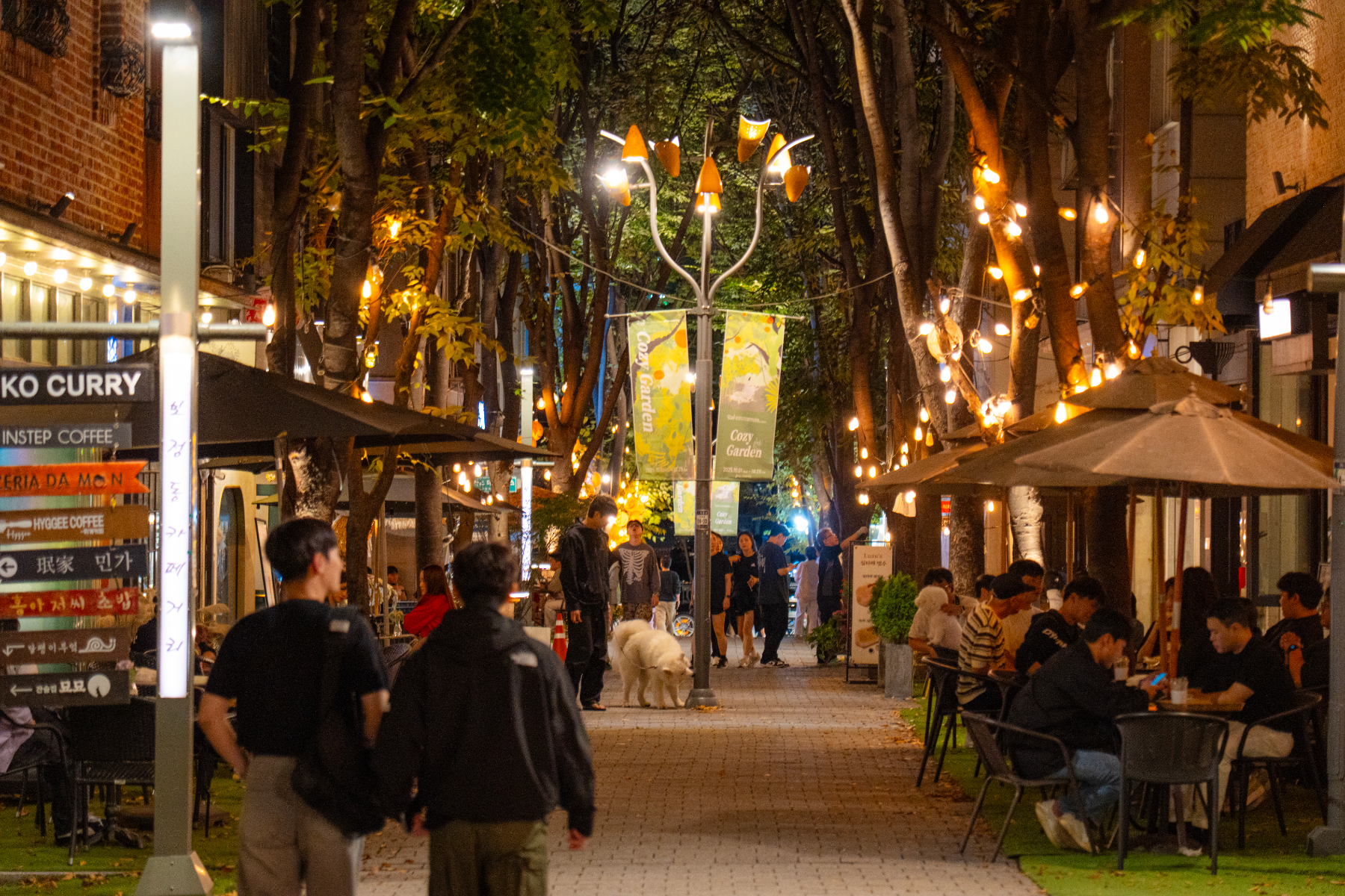 용인시 보정동 카페거리, 코지가든으로 새단장