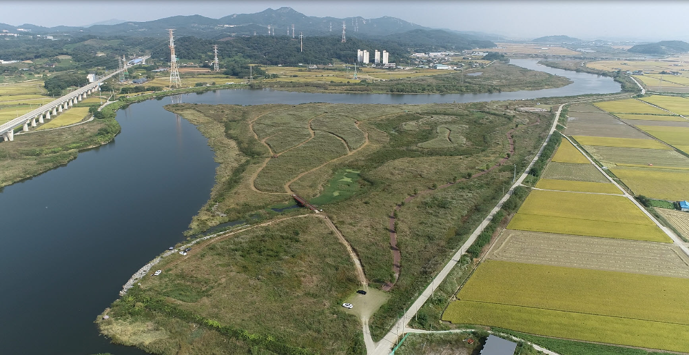 아산시 대표 생태탐방 자원(곡교천 물억새)