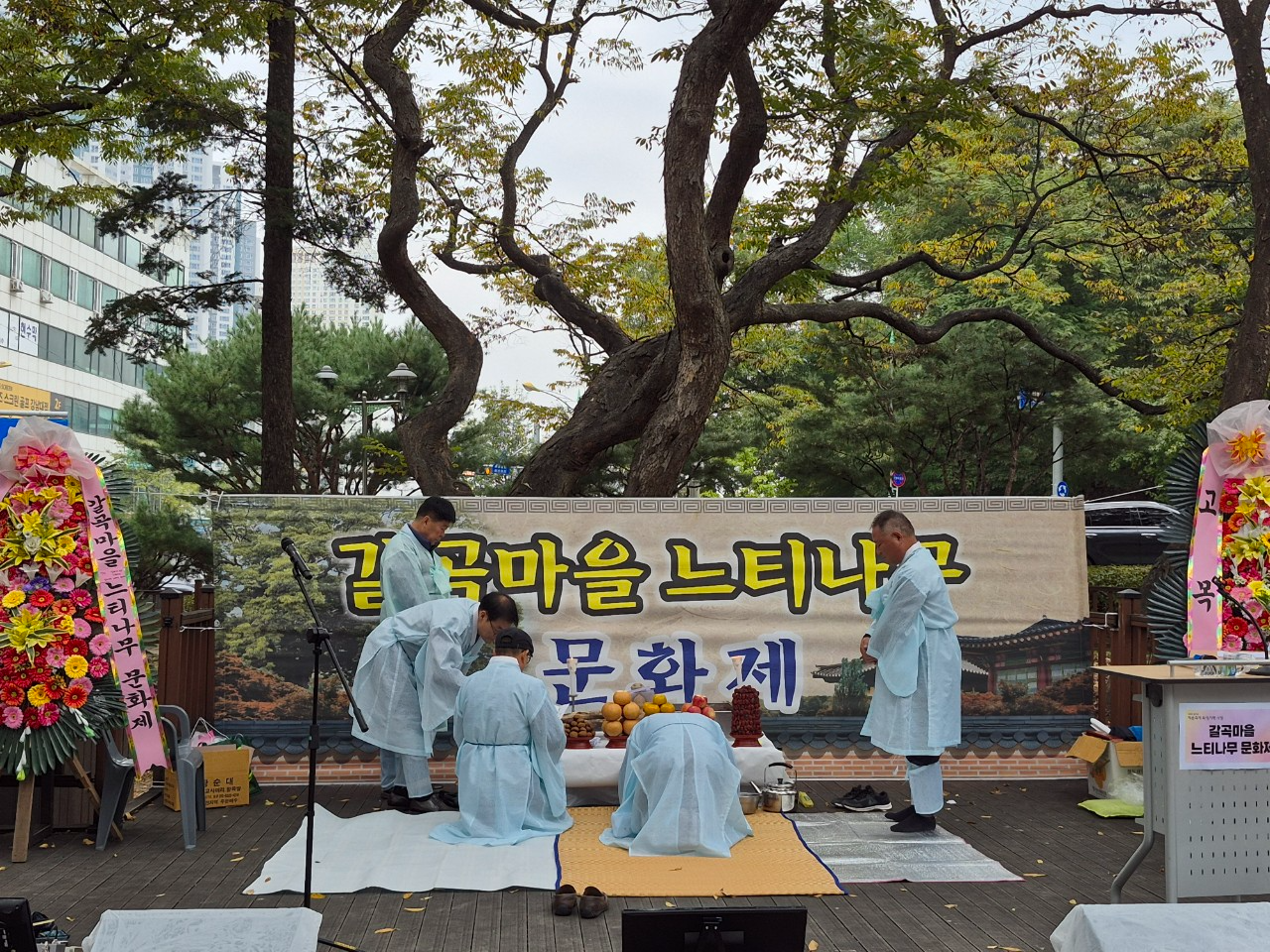 갈곡마을 느티나무 문화제