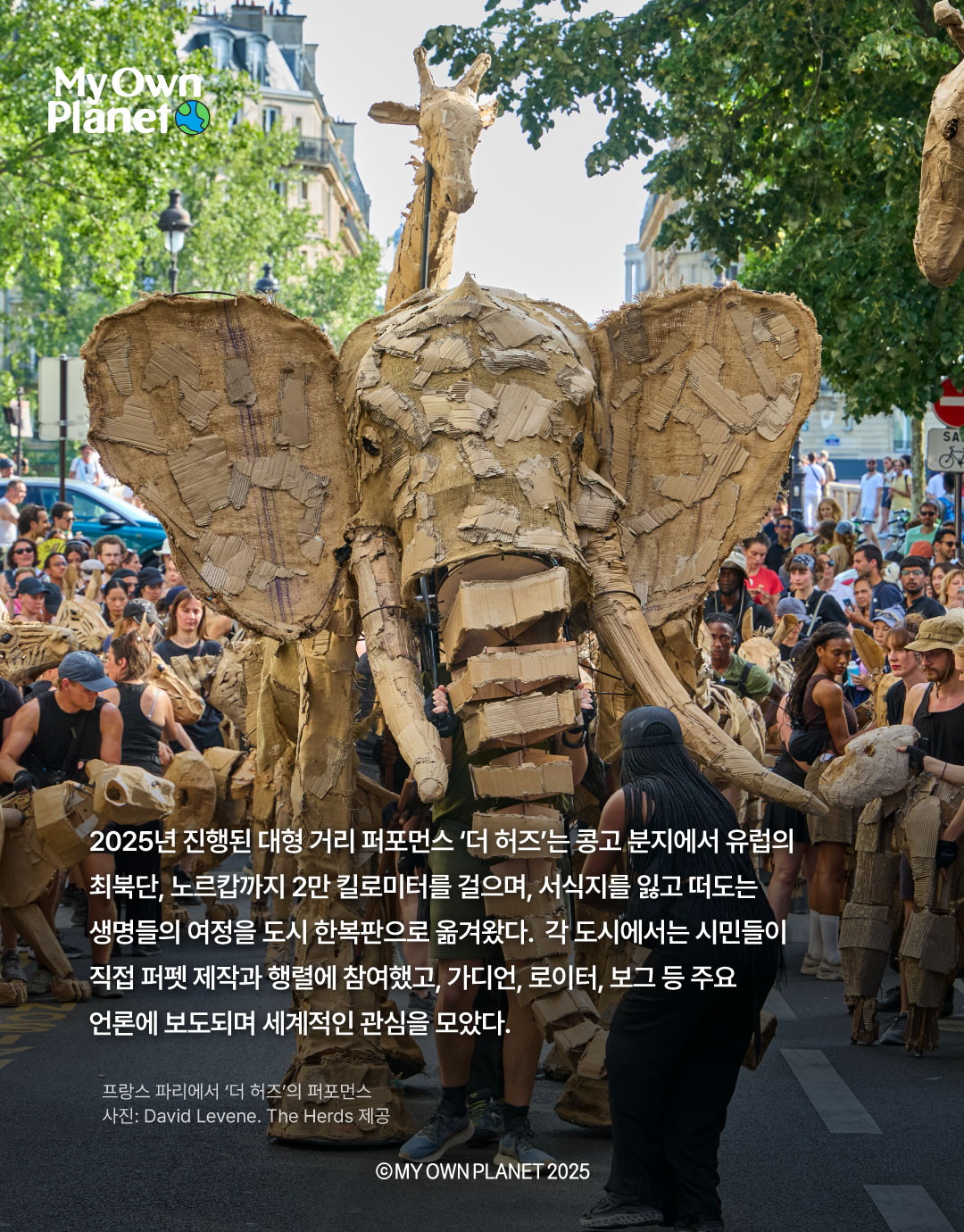 마이 오운 플래닛(My Own Planet) 기후행동 실천 캠페인 ⑪ “코끼리 무리의 생존을 위한 여정”