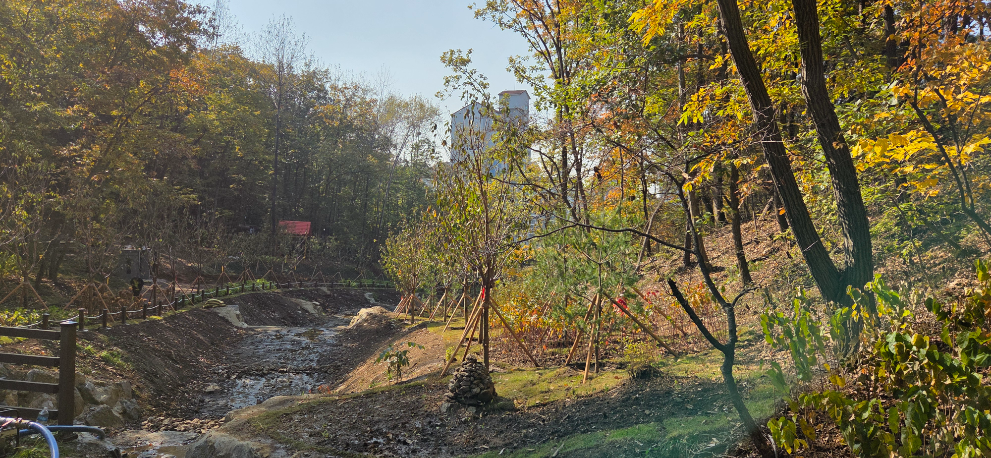 죽전 도시숲 조성 (용인특례시 제공)