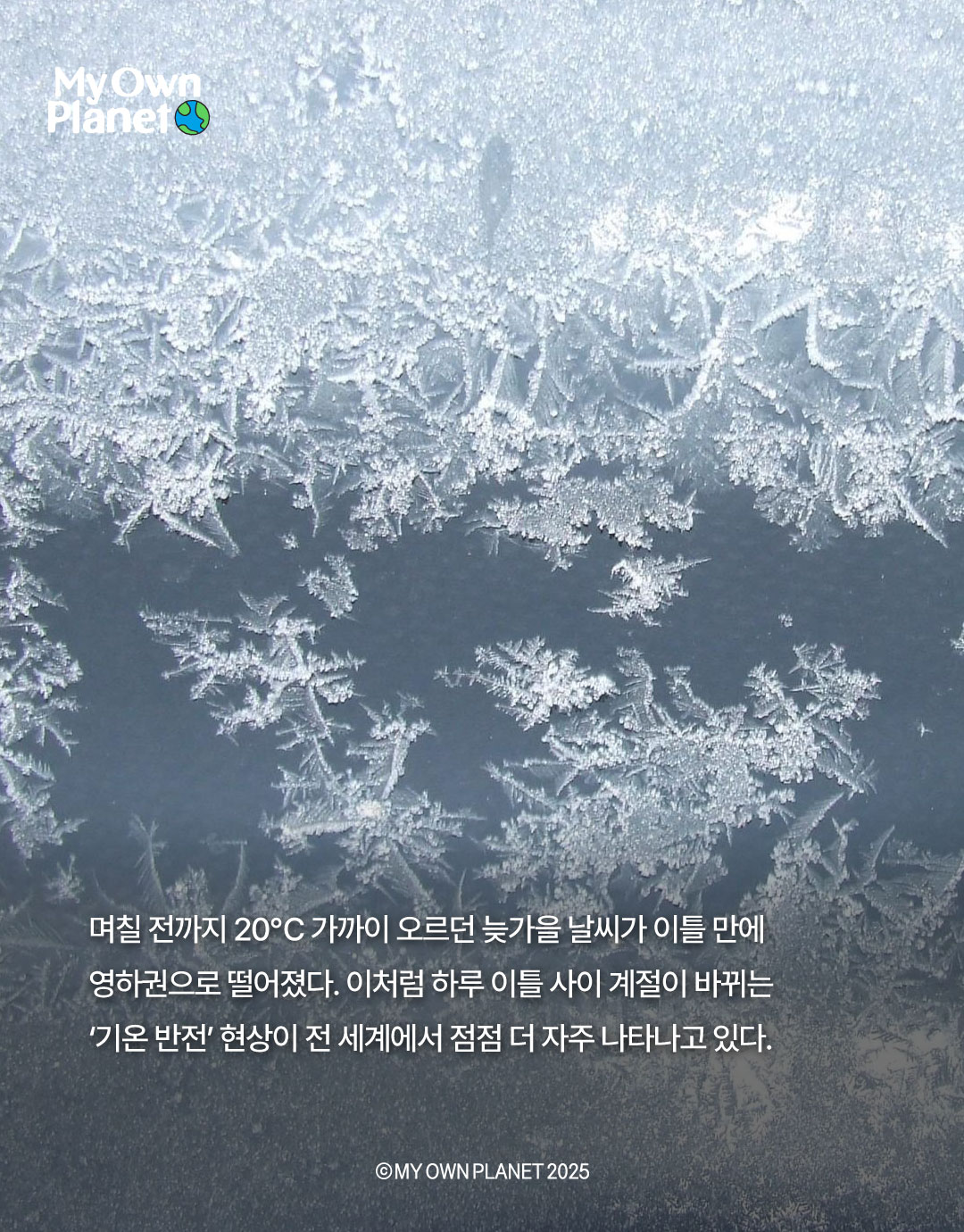 마이 오운 플래닛(My Own Planet) 기후 행동 실천 캠페인 16 “어제는 봄, 오늘은 겨울로 이어진 아찔한 날씨 롤러코스터”