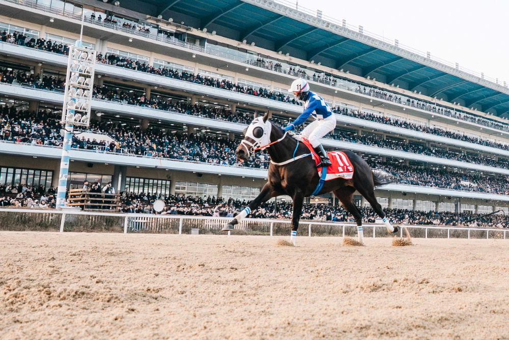 결승선 통과하는 클린원과 다실바 기수_그랑프리