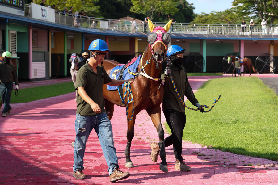 겨울 트랙 위 뜨거운 승부...'제12회 MBN배' 우승마는? - 뉴스 썸네일 이미지