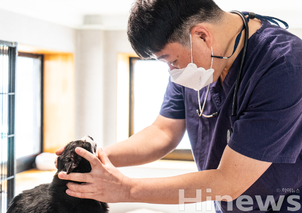 불안정한 반려동물 숨소리, 단순 감기가 아닐 수 있어요! [이재욱 수의사... - 뉴스 썸네일 이미지