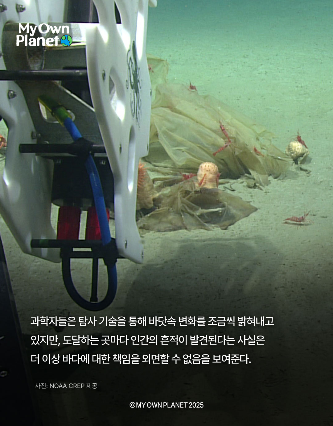 마이 오운 플래닛(My Own Planet) 기후행동 실천 캠페인 17 “심해에 버려진 플라스틱 의자”