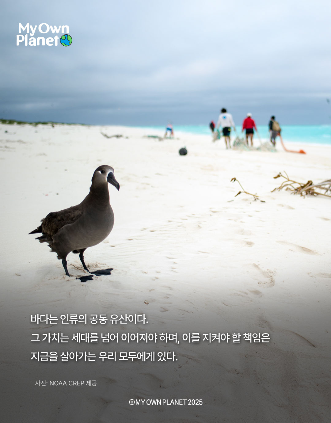 마이 오운 플래닛(My Own Planet) 기후행동 실천 캠페인 17 “심해에 버려진 플라스틱 의자”