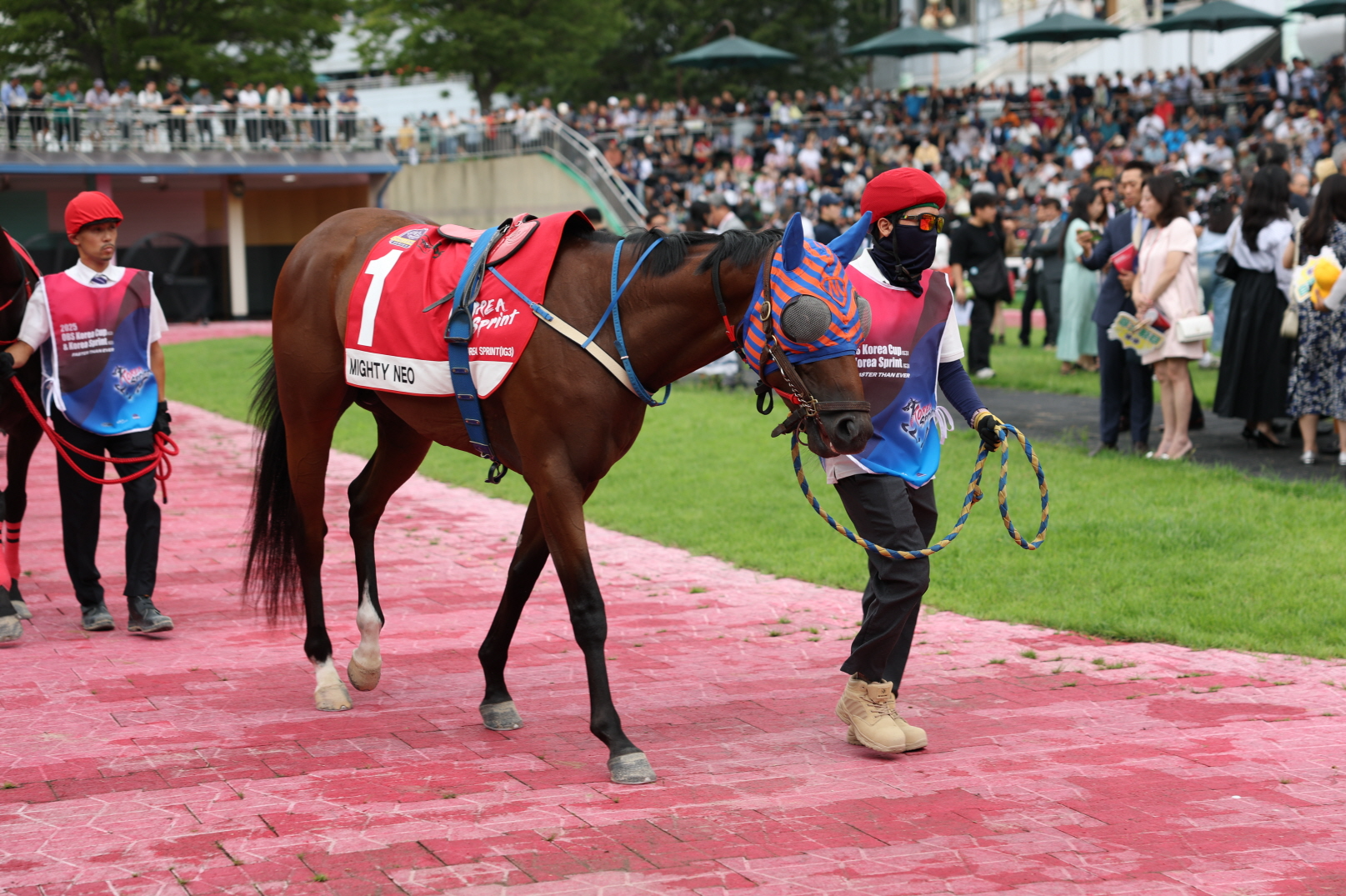 단 1분의 속도전… 렛츠런파크 서울, 1,200m 1등급 스프린트 결전